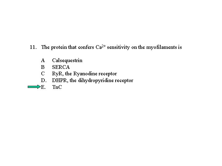 11. The protein that confers Ca 2+ sensitivity on the myofilaments is A B 11. The protein that confers Ca 2+ sensitivity on the myofilaments is A B