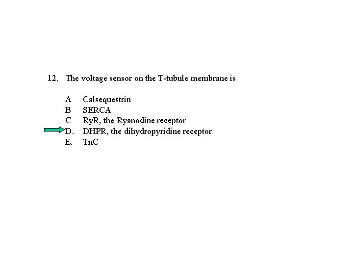 12. The voltage sensor on the T-tubule membrane is A B C D. E. 12. The voltage sensor on the T-tubule membrane is A B C D. E.