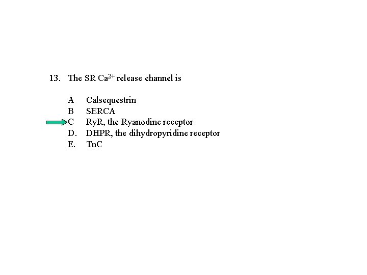 13. The SR Ca 2+ release channel is A B C D. E. Calsequestrin 13. The SR Ca 2+ release channel is A B C D. E. Calsequestrin