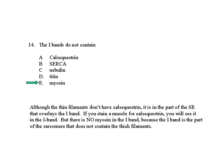 14. The I bands do not contain A B C D. E. Calsequestrin SERCA 14. The I bands do not contain A B C D. E. Calsequestrin SERCA