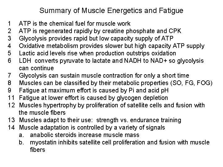 Summary of Muscle Energetics and Fatigue 1 2 3 4 5 6 7 8 Summary of Muscle Energetics and Fatigue 1 2 3 4 5 6 7 8