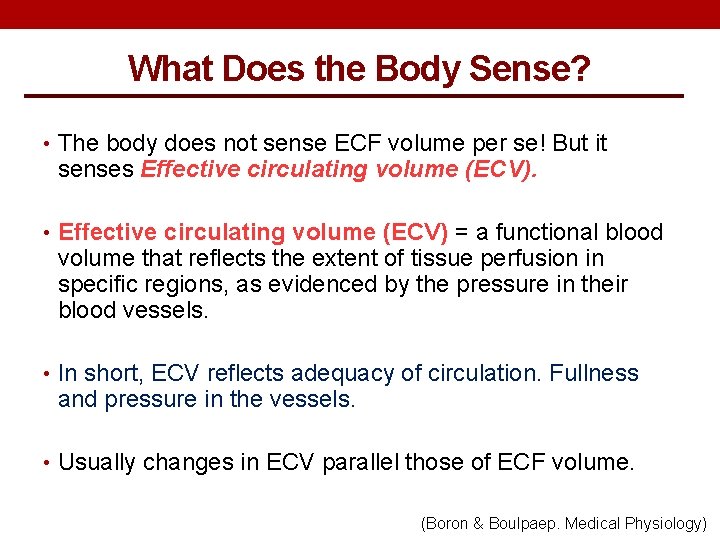 What Does the Body Sense? • The body does not sense ECF volume per