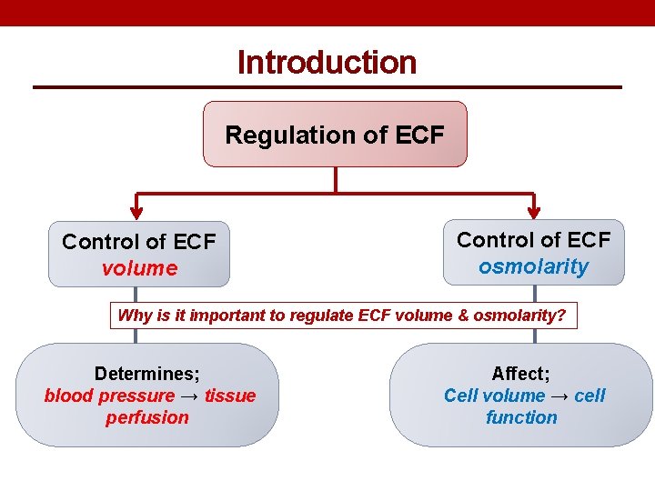 Introduction Regulation of ECF Control of ECF volume Control of ECF osmolarity Why is