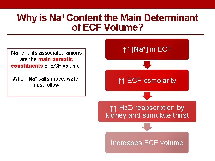 Why is Na+ Content the Main Determinant of ECF Volume? Na+ and its associated