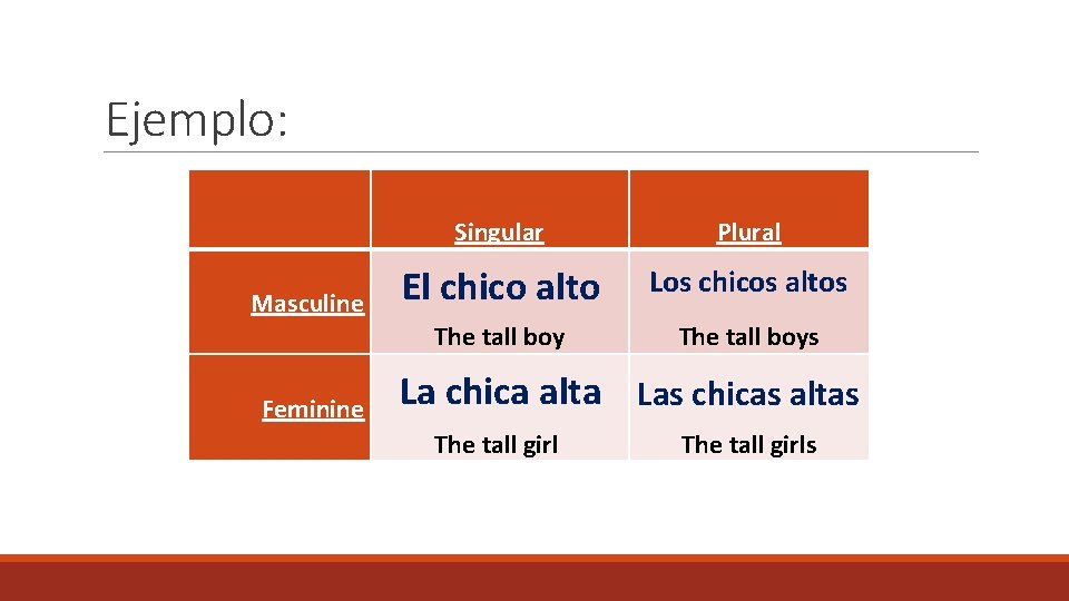 Ejemplo: Masculine Feminine Singular Plural El chico alto Los chicos altos The tall boys