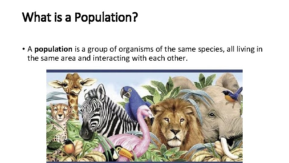 What is a Population? • A population is a group of organisms of the What is a Population? • A population is a group of organisms of the