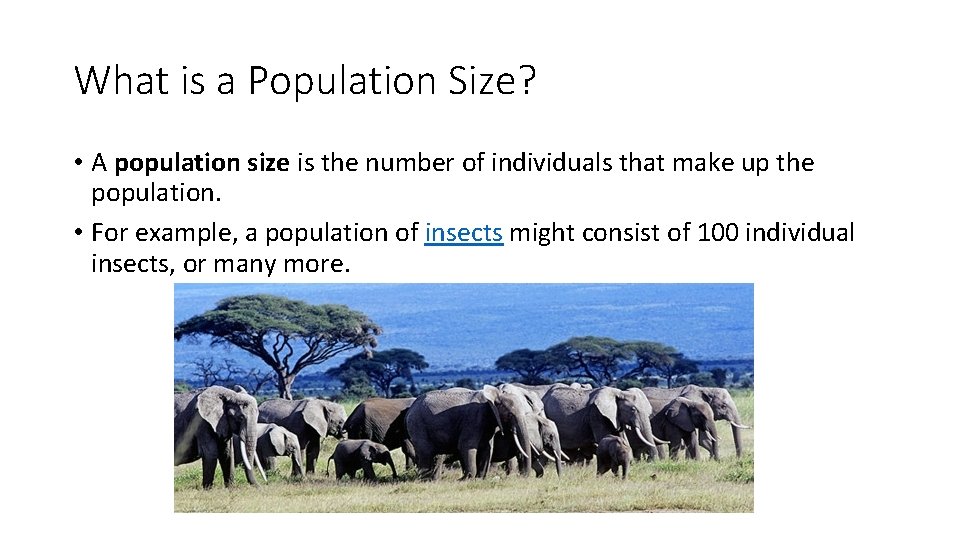 What is a Population Size? • A population size is the number of individuals What is a Population Size? • A population size is the number of individuals