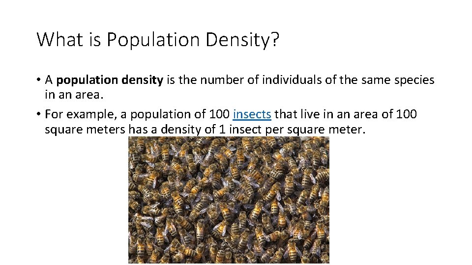 What is Population Density? • A population density is the number of individuals of What is Population Density? • A population density is the number of individuals of