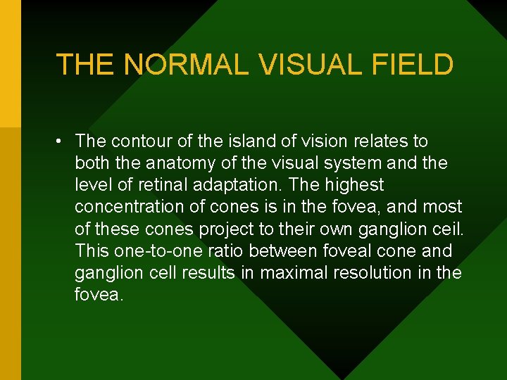 THE NORMAL VISUAL FIELD • The contour of the island of vision relates to