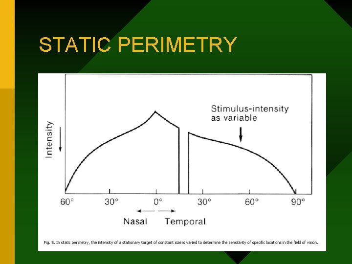 STATIC PERIMETRY 