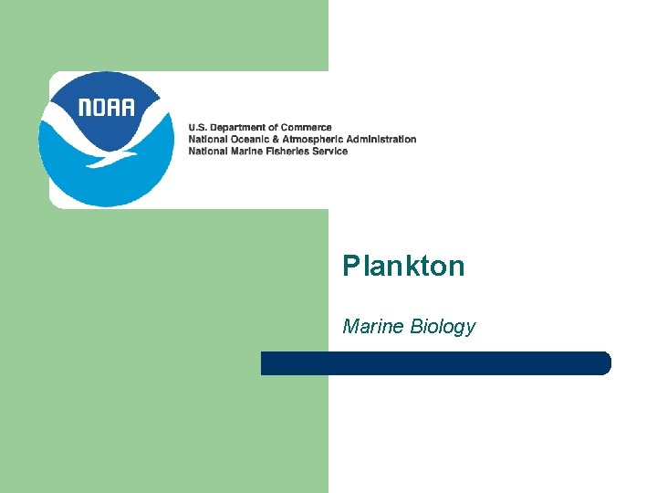 Plankton Marine Biology 