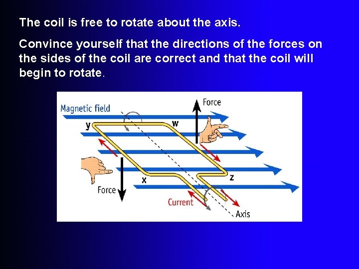 The coil is free to rotate about the axis. Convince yourself that the directions