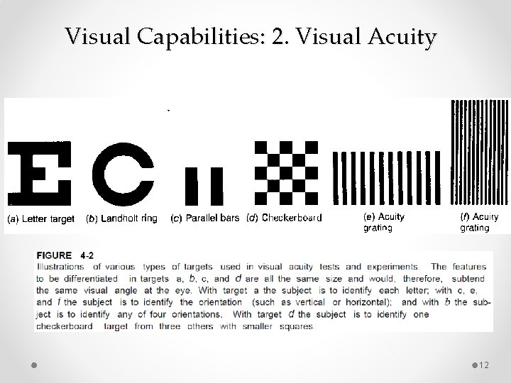 Visual Capabilities: 2. Visual Acuity 12 