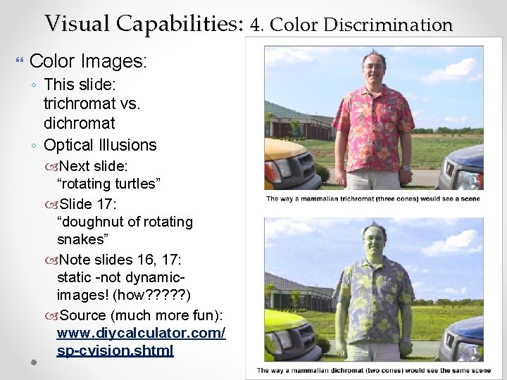 Visual Capabilities: 4. Color Discrimination Color Images: ◦ This slide: trichromat vs. dichromat ◦