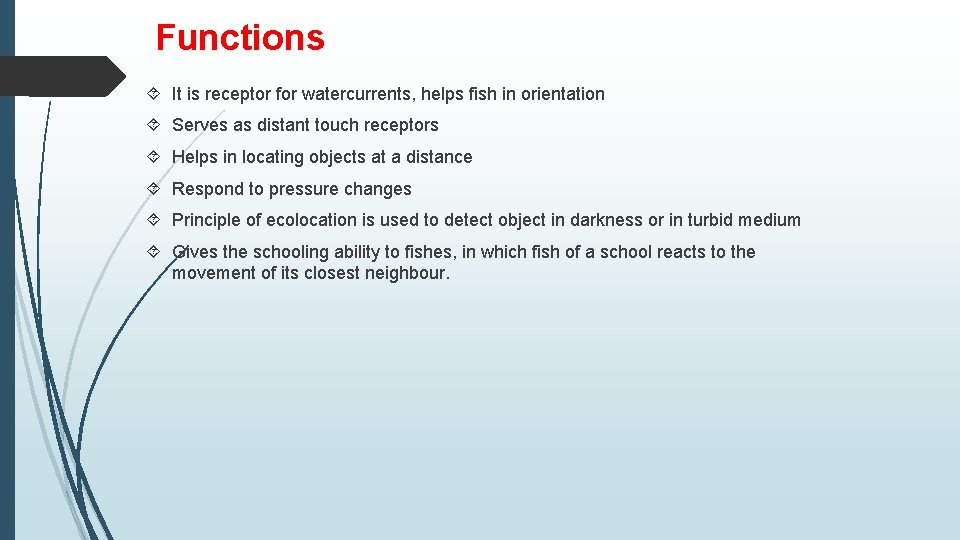 Functions It is receptor for watercurrents, helps fish in orientation Serves as distant touch