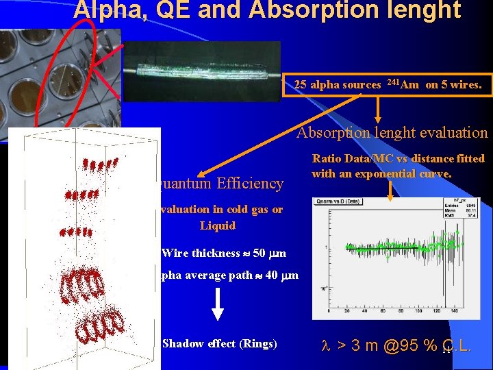 Alpha, QE and Absorption lenght 25 alpha sources 241 Am on 5 wires. Absorption
