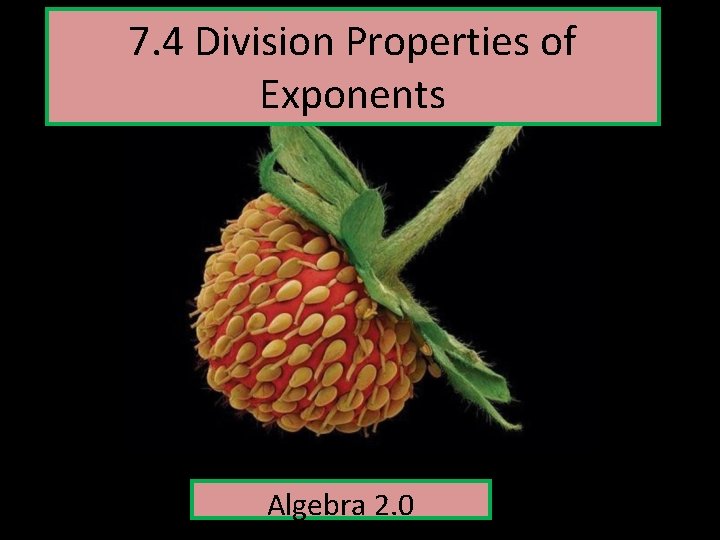 7. 4 Division Properties of Exponents Algebra 2. 0 