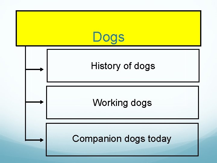 Dogs History of dogs Working dogs Companion dogs today Dogs History of dogs Working dogs Companion dogs today