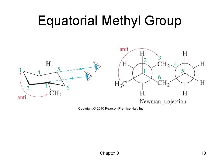 Equatorial Methyl Group Chapter 3 49 