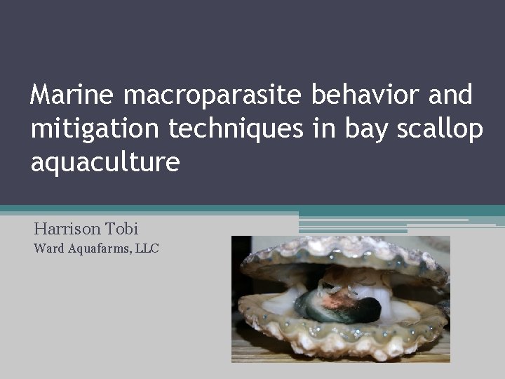 Marine macroparasite behavior and mitigation techniques in bay scallop aquaculture Harrison Tobi Ward Aquafarms,