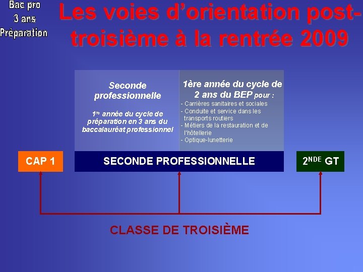 Les voies d’orientation posttroisième à la rentrée 2009 Seconde professionnelle 1 re année du