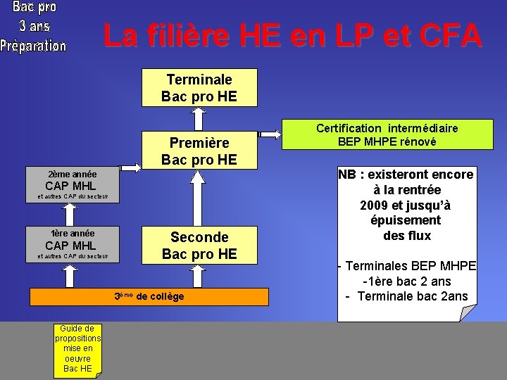 La filière HE en LP et CFA Terminale Bac pro HE Première Bac pro