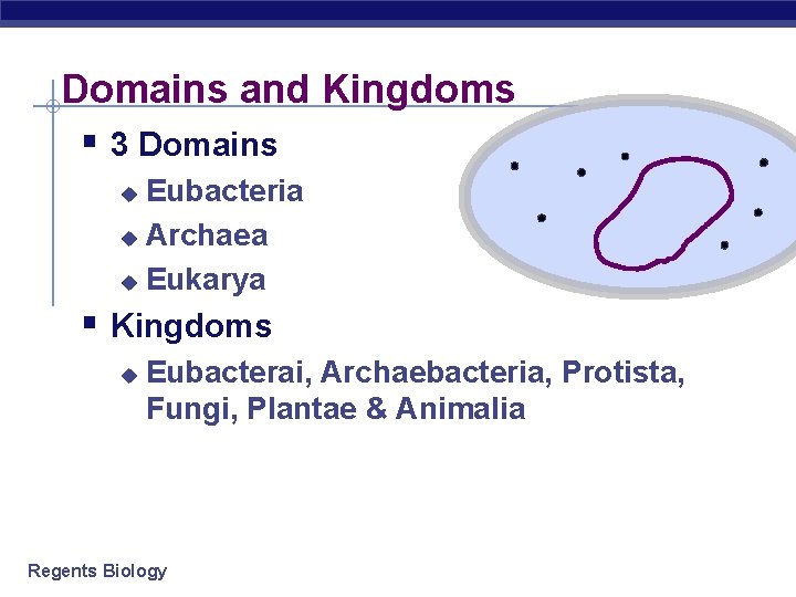 Domains and Kingdoms § 3 Domains Eubacteria u Archaea u Eukarya u § Kingdoms