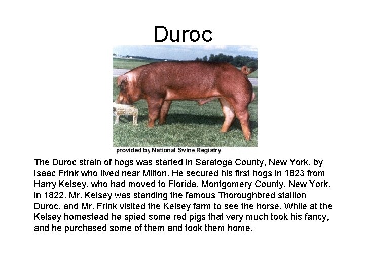 Duroc The Duroc strain of hogs was started in Saratoga County, New York, by