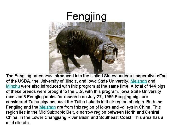 Fengjing The Fengjing breed was introduced into the United States under a cooperative effort