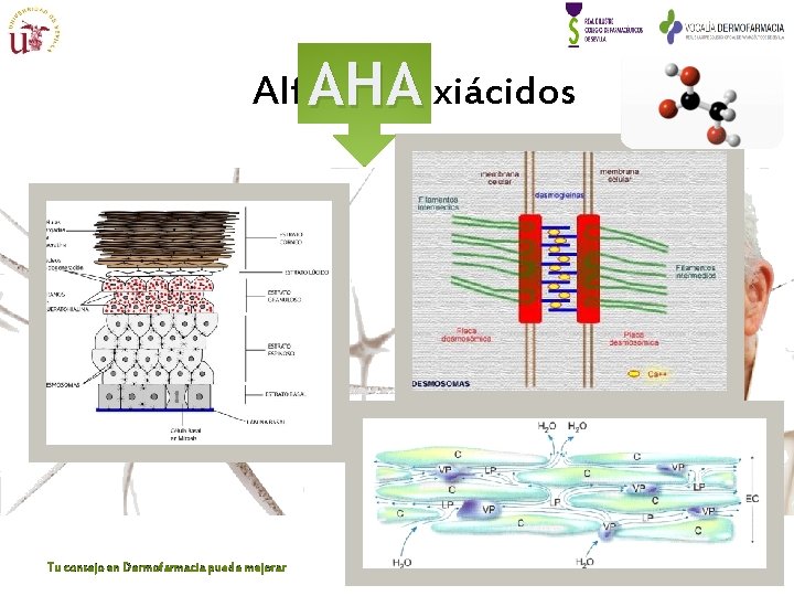 Alfa-hidroxiácidos AHA Tu consejo en Dermofarmacia puede mejorar Alfa-hidroxiácidos AHA Tu consejo en Dermofarmacia puede mejorar