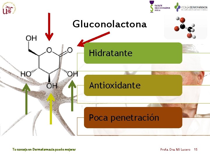 Gluconolactona Hidratante Antioxidante Poca penetración Tu consejo en Dermofarmacia puede mejorar Profa. Dra. MJ Gluconolactona Hidratante Antioxidante Poca penetración Tu consejo en Dermofarmacia puede mejorar Profa. Dra. MJ