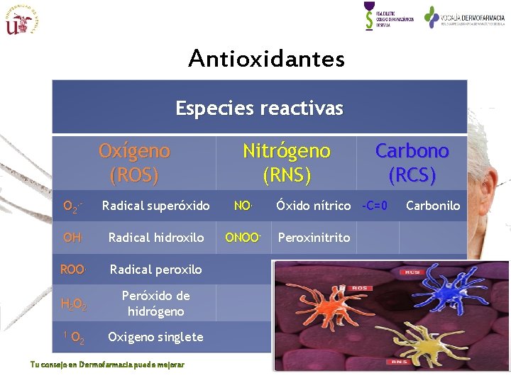 Antioxidantes Especies reactivas Oxígeno (ROS) Nitrógeno (RNS) O 2. - Radical superóxido NO. OH. Antioxidantes Especies reactivas Oxígeno (ROS) Nitrógeno (RNS) O 2. - Radical superóxido NO. OH.