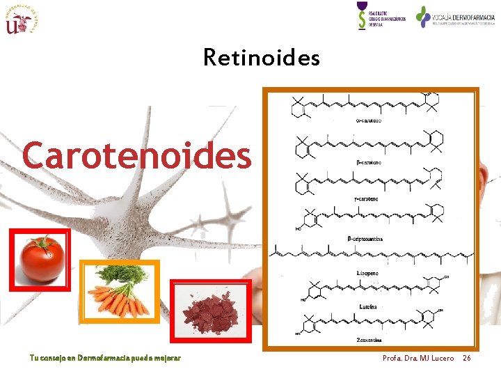 Retinoides Carotenoides Tu consejo en Dermofarmacia puede mejorar Profa. Dra. MJ Lucero 26 Retinoides Carotenoides Tu consejo en Dermofarmacia puede mejorar Profa. Dra. MJ Lucero 26