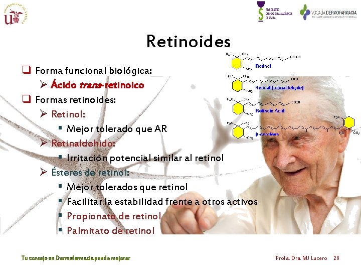 Retinoides q Forma funcional biológica: Ø Ácido trans-retinoico q Formas retinoides: Ø Retinol: § Retinoides q Forma funcional biológica: Ø Ácido trans-retinoico q Formas retinoides: Ø Retinol: §