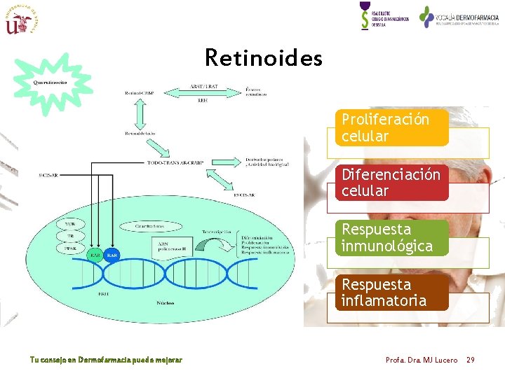 Retinoides Proliferación celular Diferenciación celular Respuesta inmunológica Respuesta inflamatoria Tu consejo en Dermofarmacia puede Retinoides Proliferación celular Diferenciación celular Respuesta inmunológica Respuesta inflamatoria Tu consejo en Dermofarmacia puede