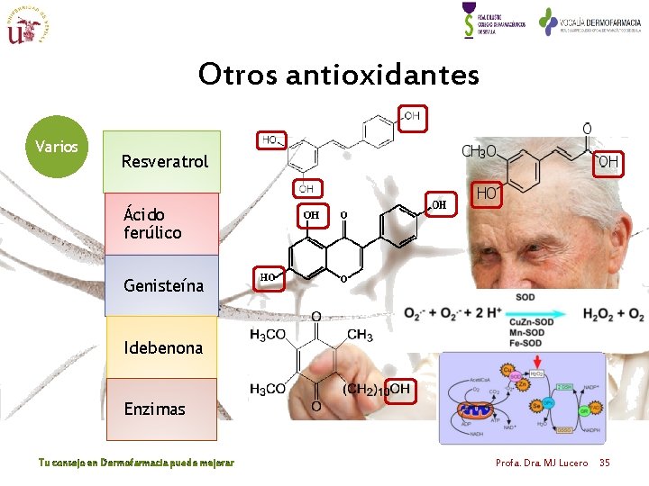 Otros antioxidantes Varios Resveratrol Ácido ferúlico Genisteína Idebenona Enzimas Tu consejo en Dermofarmacia puede Otros antioxidantes Varios Resveratrol Ácido ferúlico Genisteína Idebenona Enzimas Tu consejo en Dermofarmacia puede