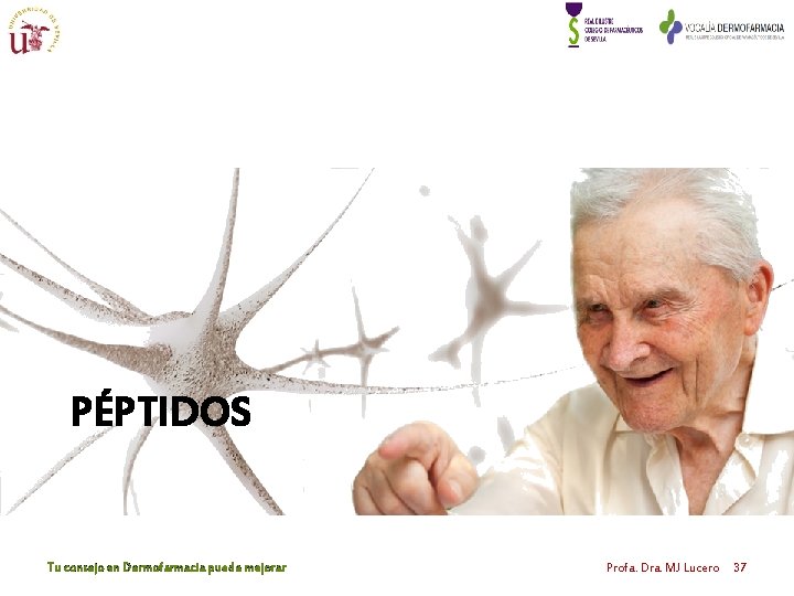 PÉPTIDOS Tu consejo en Dermofarmacia puede mejorar Profa. Dra. MJ Lucero 37 PÉPTIDOS Tu consejo en Dermofarmacia puede mejorar Profa. Dra. MJ Lucero 37