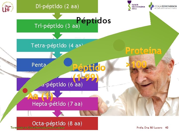 Di-péptido (2 aa) Péptidos Tri-péptido (3 aa) Tetra-péptido (4 aa) Penta-péptido (5 aa) Péptido Di-péptido (2 aa) Péptidos Tri-péptido (3 aa) Tetra-péptido (4 aa) Penta-péptido (5 aa) Péptido