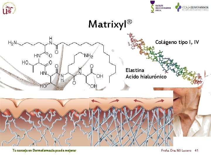 Matrixyl® Colágeno tipo I, IV Elastina Acido hialurónico Palmitoil pentapéptido-3 Tu consejo en Dermofarmacia Matrixyl® Colágeno tipo I, IV Elastina Acido hialurónico Palmitoil pentapéptido-3 Tu consejo en Dermofarmacia