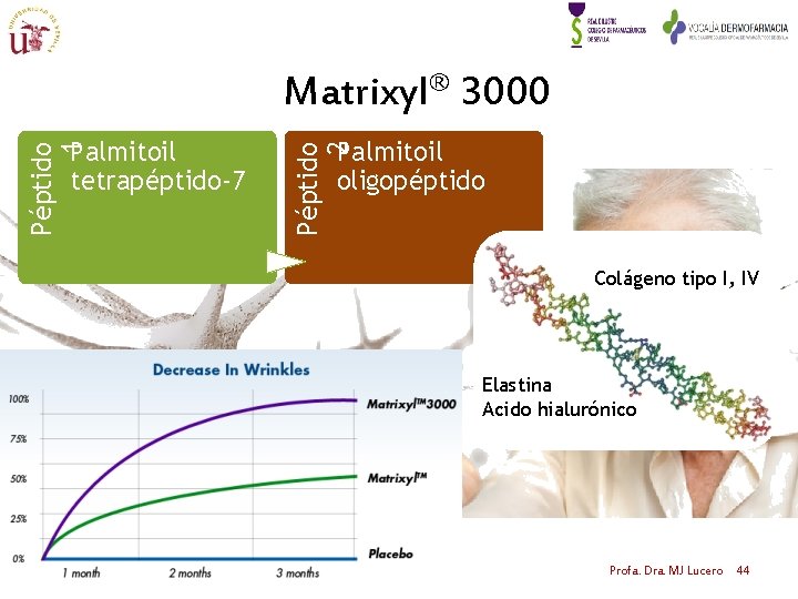 Matrixyl® 3000 Palmitoil oligopéptido Péptido 2 Péptido 1 Palmitoil tetrapéptido-7 Colágeno tipo I, IV Matrixyl® 3000 Palmitoil oligopéptido Péptido 2 Péptido 1 Palmitoil tetrapéptido-7 Colágeno tipo I, IV