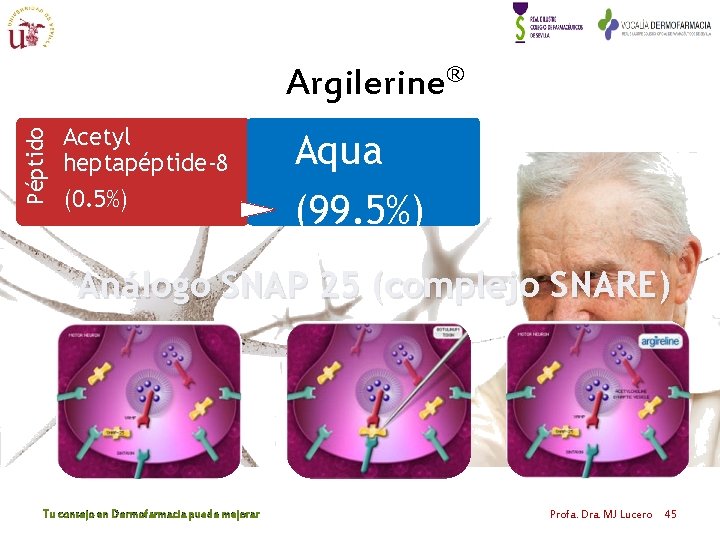 Péptido Argilerine® Acetyl heptapéptide-8 (0. 5%) Aqua (99. 5%) Análogo SNAP 25 (complejo SNARE) Péptido Argilerine® Acetyl heptapéptide-8 (0. 5%) Aqua (99. 5%) Análogo SNAP 25 (complejo SNARE)