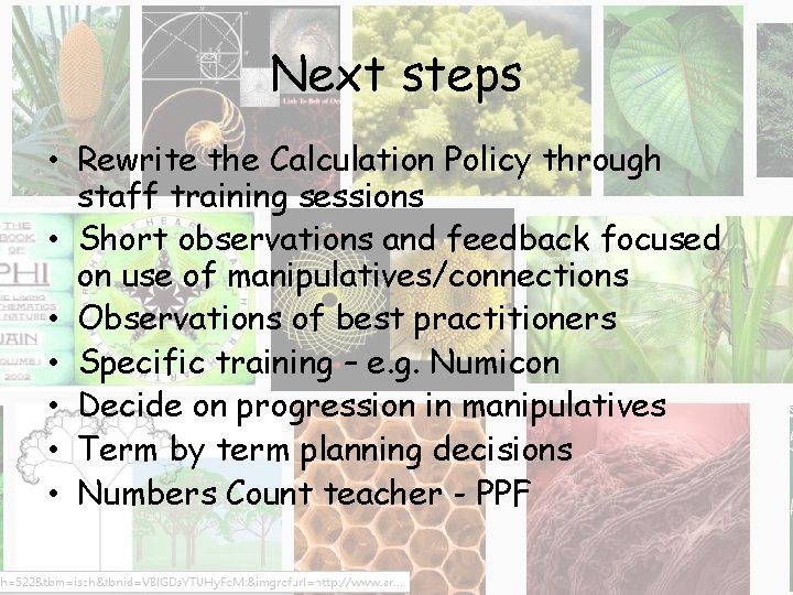 Next steps • Rewrite the Calculation Policy through staff training sessions • Short observations