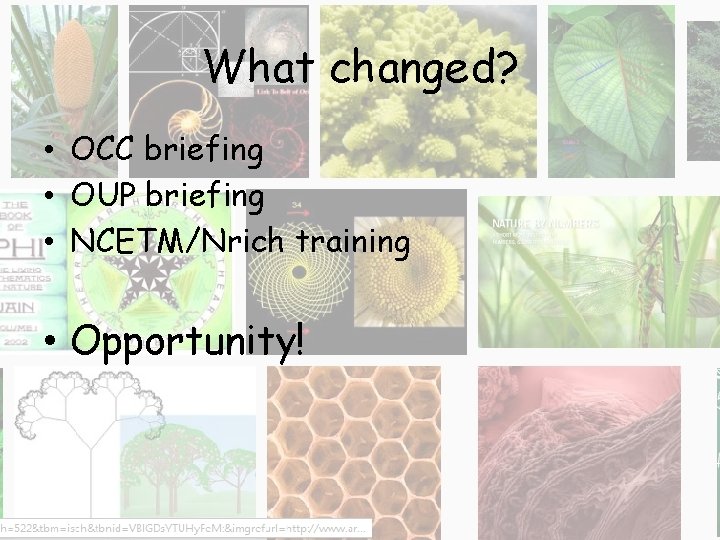 What changed? • OCC briefing • OUP briefing • NCETM/Nrich training • Opportunity! 