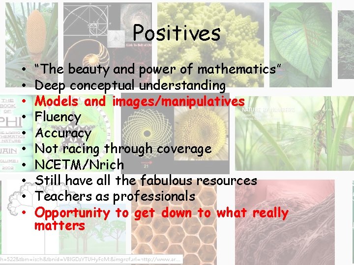 Positives • • • “The beauty and power of mathematics” Deep conceptual understanding Models