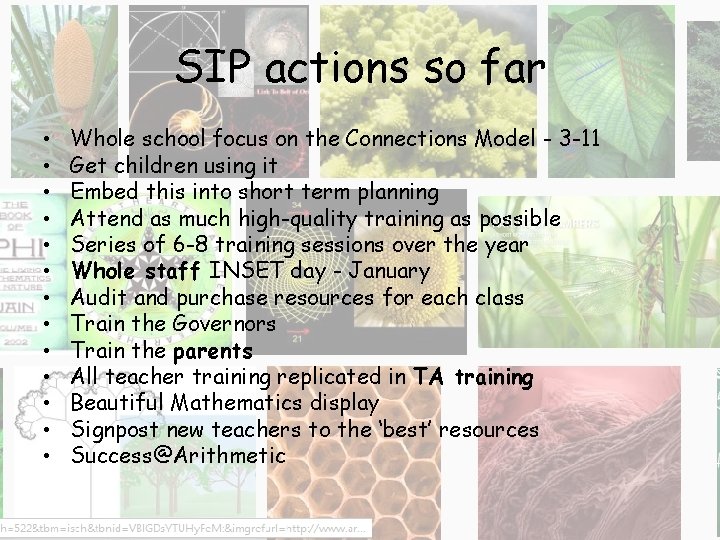 SIP actions so far • • • • Whole school focus on the Connections