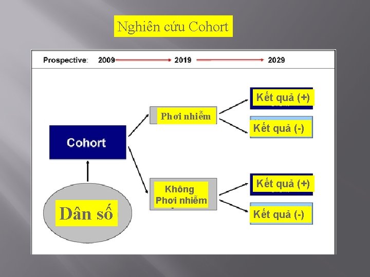 Nghiên cứu Cohort Kết quả (+) Phơi nhiễm Kết quả (-) Dân số Không