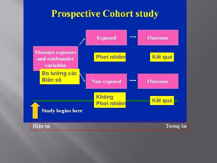 Phơi nhiễm Kết quả Không Phơi nhiễm Kết quả Đo lường các Biến số