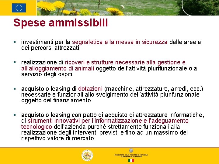 Spese ammissibili § investimenti per la segnaletica e la messa in sicurezza delle aree