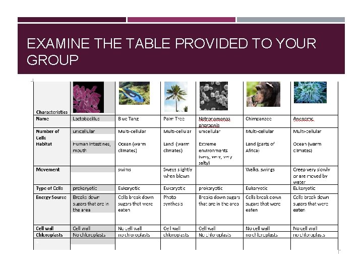 EXAMINE THE TABLE PROVIDED TO YOUR GROUP 