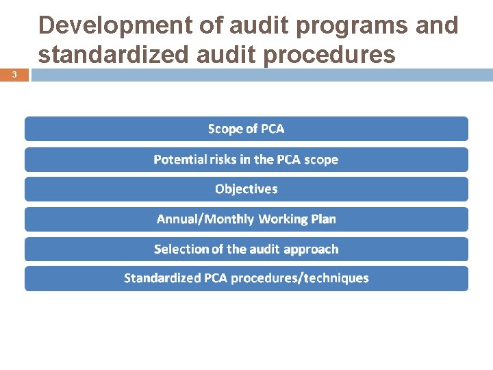 Development of audit programs and standardized audit procedures 3 
